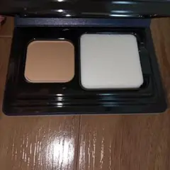 Item thumbnail for item 484b1f6f-acf7-480e-9102-f6984ffe6274