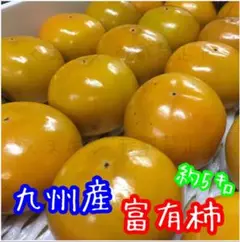 九州産 富有柿 優品 箱込 約5キロ