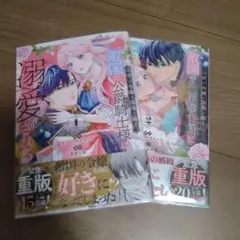 【コミック】「召使い令嬢は国境を越え、敵国の公爵騎士様に溺愛される」1〜2巻