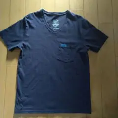 BLUE BLUE フルーツオブザルーム コラボTシャツ VネックTシャツ M