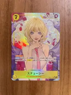 ステューシー　パラレル
