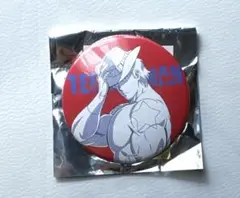 超人祭　缶マグネット　テリーマン