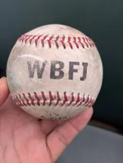 阪神タイガースwomen　甲子園ファールボール