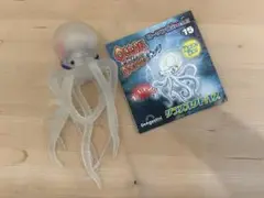 オーシャンアタック　アンドコ　グラスオクトパス