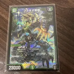 ブラキオ龍樹