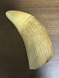 Item thumbnail for item 73777c5e-5dd0-40ec-83fd-d1384de0748e