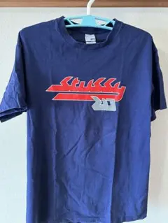 OLD STUSSY 20周年記念 Tシャツ 古着 サイズL 90s/2000s
