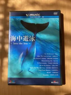 正規品 人気の奄美大島 美しい水中映像 DVD 海中游泳