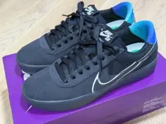 NIKE SB BRUIN REACT T