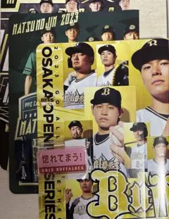 ORIX BUFFALOES 応援メッセージキーホルダー　惚れてまう！&ハリセン