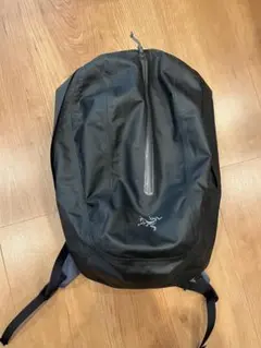 2025年最新】ARC'TERYX astri 19の人気アイテム - メルカリ