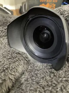 Item thumbnail for item 136d6d9f-8245-4087-8451-a5cd2e5d39b7