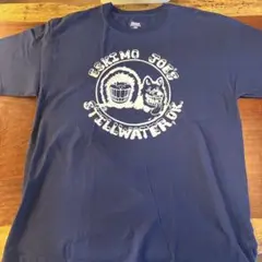 Hanes エスキモー80s 90s USA製 ヘインズ　Tシャツ L ブルー