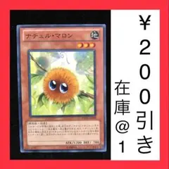 遊戯王　ナチュル・マロン　ノーマル　1枚（在庫1枚のみ）