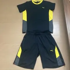 プーマ 上下　150