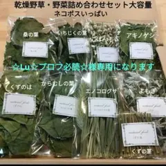 Item thumbnail for item c5f757c6-17a1-47a9-b97d-252d44799a0e