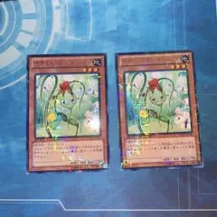 ナチュルローズウィップ　２枚　遊戯王