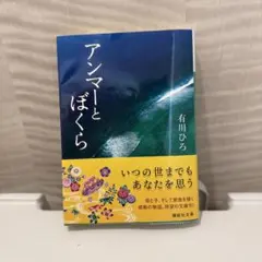 アンマーとぼくら