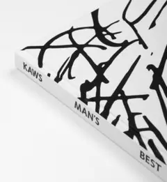 KAWS 1999年初期作品集　KAWS EXPOSED 2025年最新】kaws 作品集の人気アイテム - メルカリ