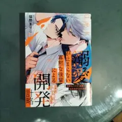溺愛が止まらない寡黙な後輩による開発計略