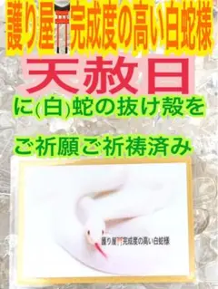 1枚✨開運✨蛇の抜け殻✨赤目の白蛇✨白蛇のお守り【天赦日,定期的ご祈祷済】横CX