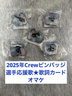 ２０２５年CREWピンバッジ☆東京ヤクルトスワローズ（全6個）