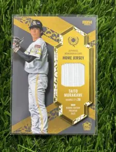 Item thumbnail for item e7706960-819a-4f65-aec8-6c7ea9c99c5d