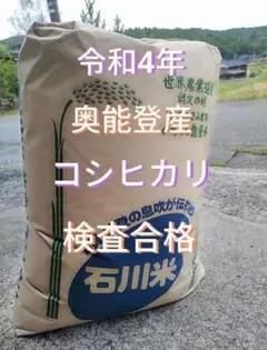 奥能登産 令和4年 新米コシヒカリ 一等米 玄米10kg 数量限定