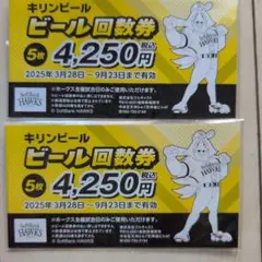 ソフトバンクホークス キリンビール ビール回数券 10枚