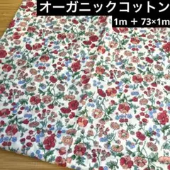 HOKKOH オーガニックコットン 867