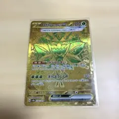 オーガポン　みどりのめんex ur