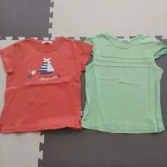 ファミリア　Tシャツ　2枚セット