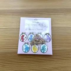 ディズニー　プリンセスシークレットチャーム　アリエル　1点