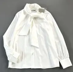 Item thumbnail for item 93d8c534-a139-471f-83ad-cc2d30cfc51a