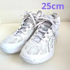 アシックス　ASICS　バスケットシューズ　白　スピード　25cm