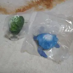 マウンテンタートルズ パンダの穴