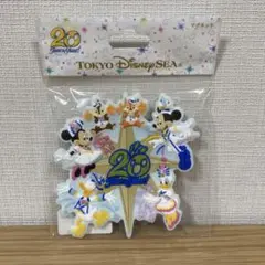 ディズニーシー　20周年　マグネット