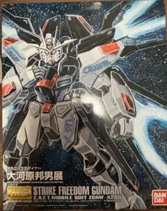 会場限定 MG ストライクフリーダムガンダム 大河原邦夫展新品未開封 m39221329997_1.jpg?1717923097