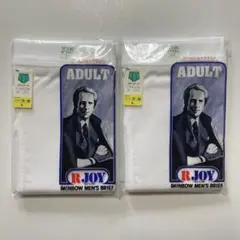 昭和レトロ RJOY アールジョイ スタンダードブリーフ L 2枚セット