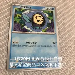 オタマロ　在庫1