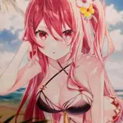 クエナ　タペストリー