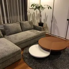 アルフレックス　ルナーリ