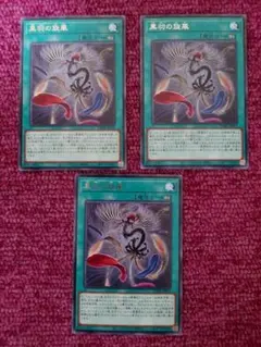 遊戯王　黒羽の旋風　3枚　字レア