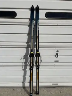 FISCHER GTS TEREMAREK 190cm