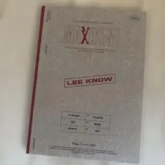 LEE KNOW MAXIDENT