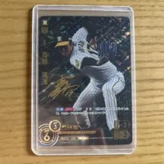青柳晃洋 SSP ドリームオーダー