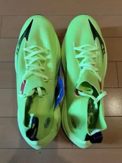 MIZUNO ネオビスタ 28.0cm