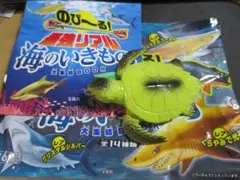 のび～る最強リアル　海のいきもの　アオウミガメ
