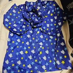 Item thumbnail for item 95897c66-1e4e-4a3c-8c29-25e6fe275b1c