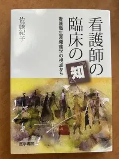 看護師の臨床の知 佐藤紀子